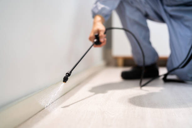 Licensed Pest Control service in Fort Shawnee, OH - Show Me Pest Control