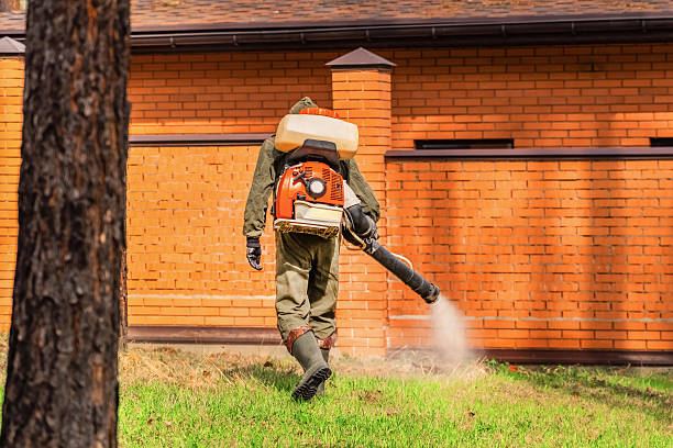 Bed Bug Clearance Verification and Documentation in Fort Shawnee